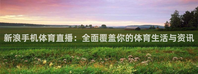 咪咕体育免费高清直播入口：新浪手机体育直播：全面覆盖你的体育生活与资讯