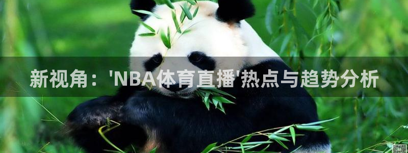 咪咕体育官网：新视角：\'NBA体育直播\'热点与趋势分析
